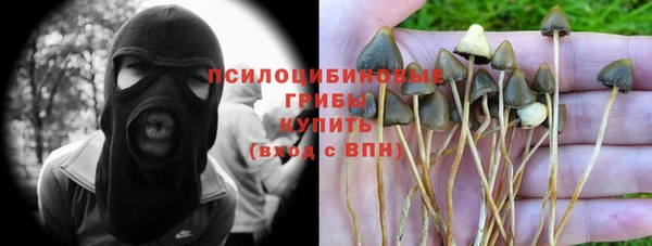 герыч Нея
