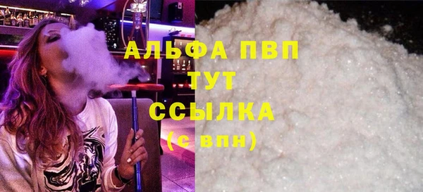 PSILOCYBIN Рославль
