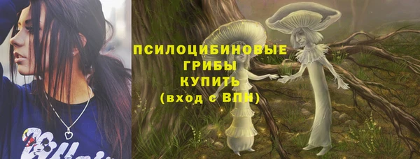 ПСИЛОЦИБИНОВЫЕ ГРИБЫ Нефтегорск
